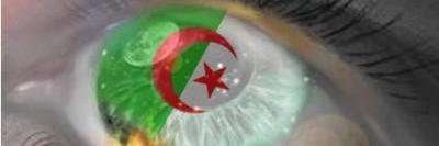 TML43240's profile banner image