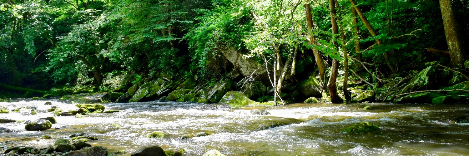 Christina Comado banner