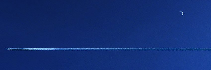 Viktorbeverley's profile banner image