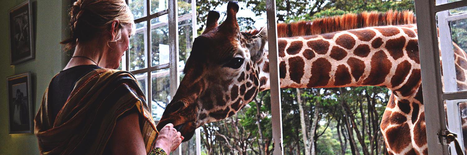DuffleSafari's profile banner image