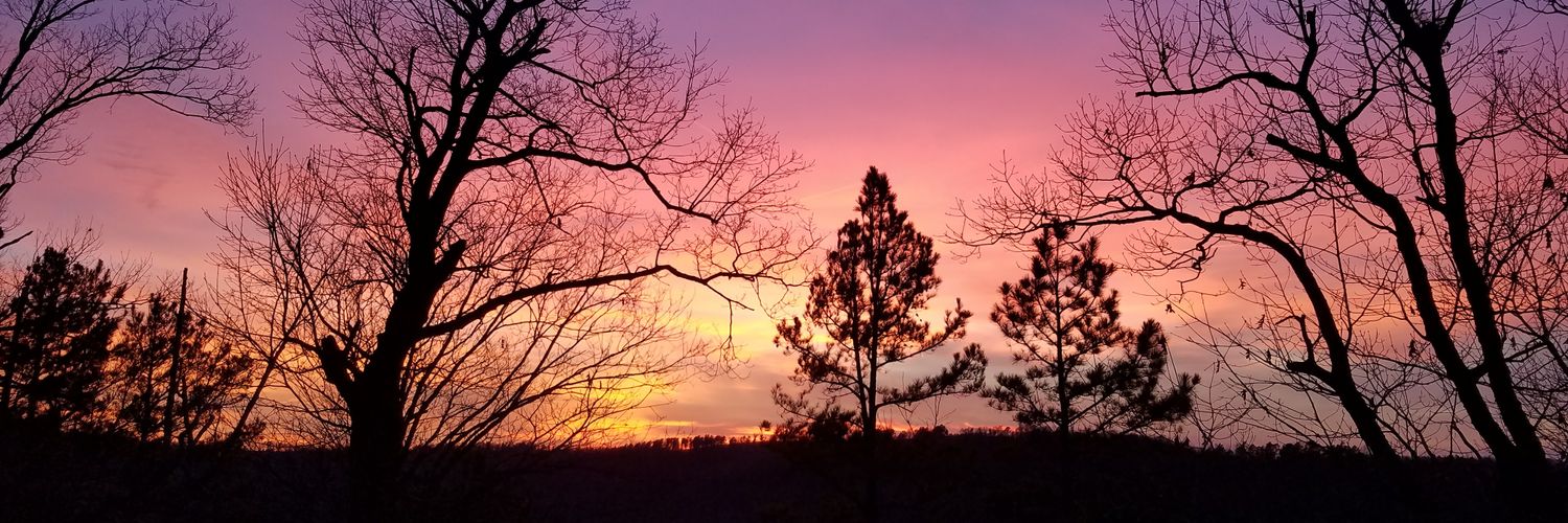 Jennifer Prehn Ruby banner