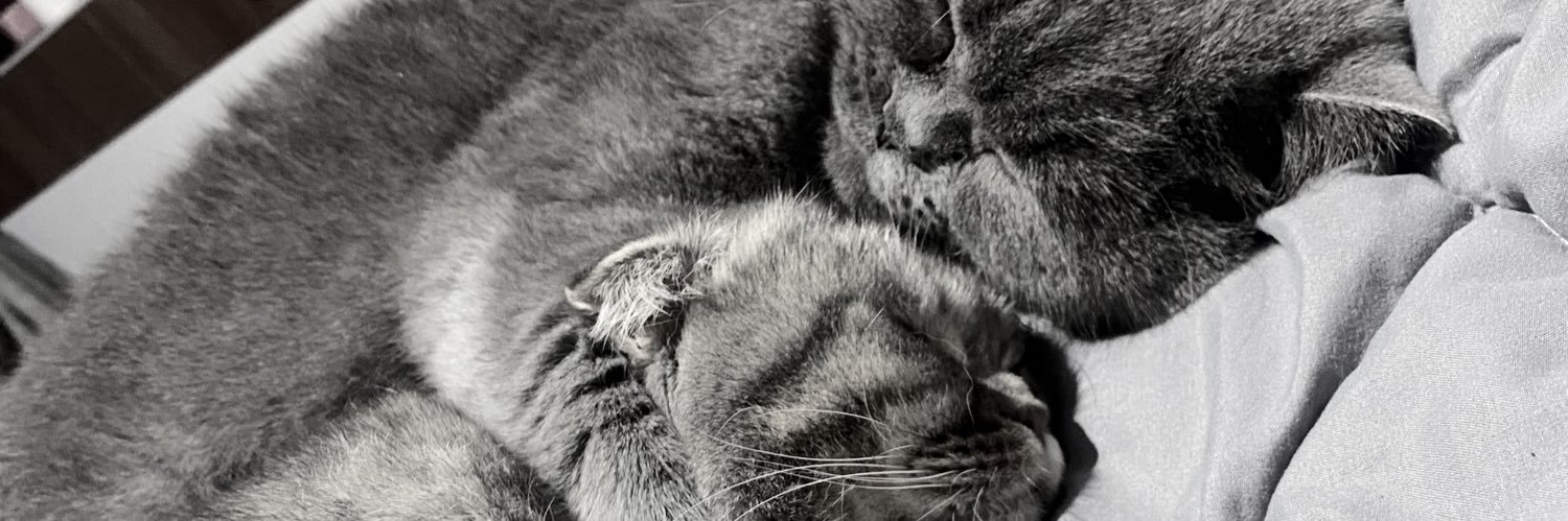 meldaordeee's profile banner image