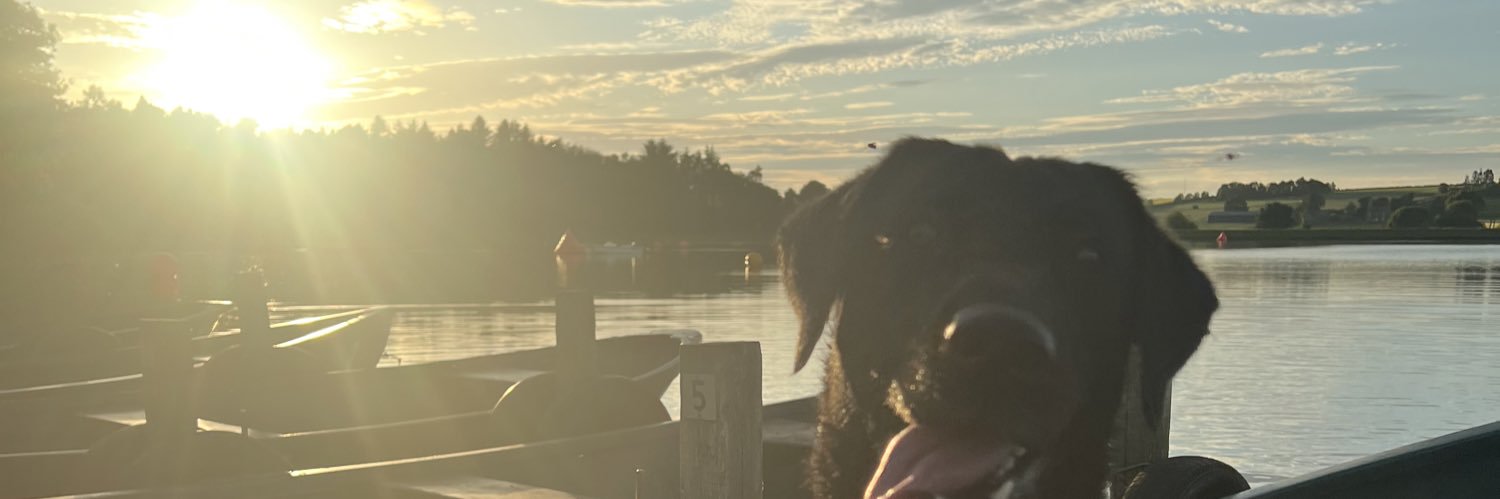 Meghannwatsonn's profile banner image