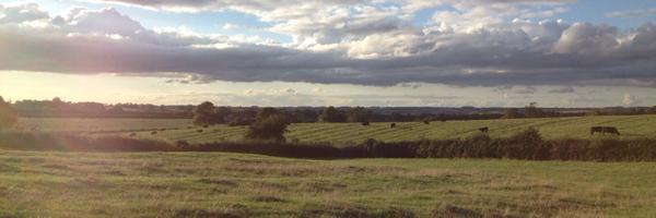 Support_SMART Profile Banner