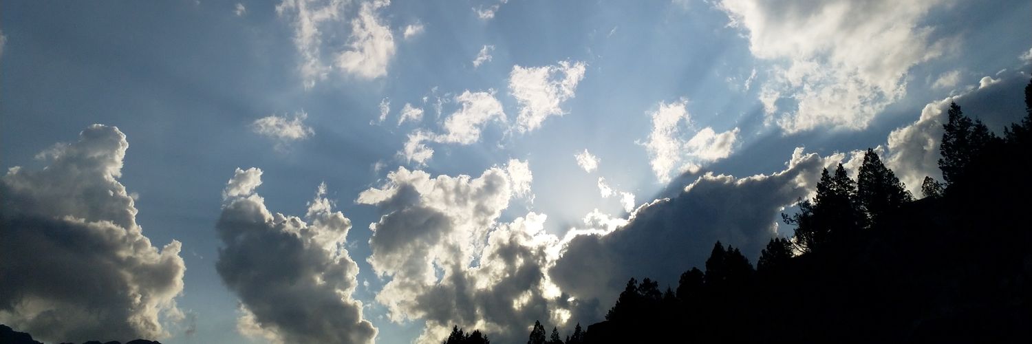 falaann's profile banner image