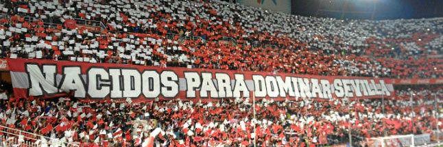 Fernando M.L. banner