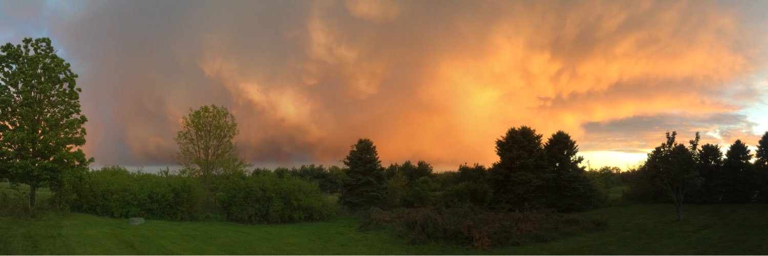 nolan_case's profile banner image