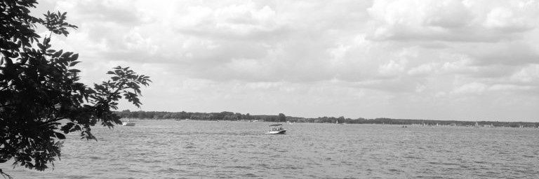 A. D. A. M. #BrońmyPolski banner