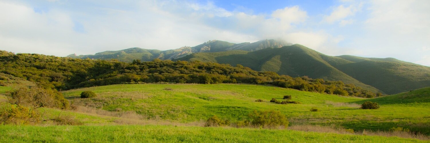 mrdanielgross's profile banner image
