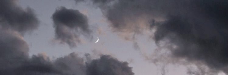 MegisBreathin's profile banner image