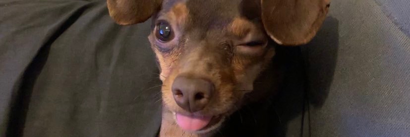 joaotambem's profile banner image