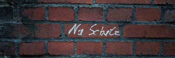 the_cleaner Profile Banner