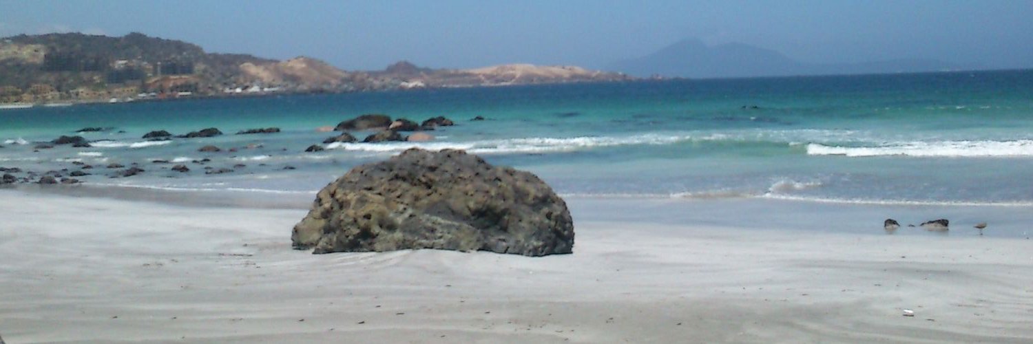 SCavalleris's profile banner image