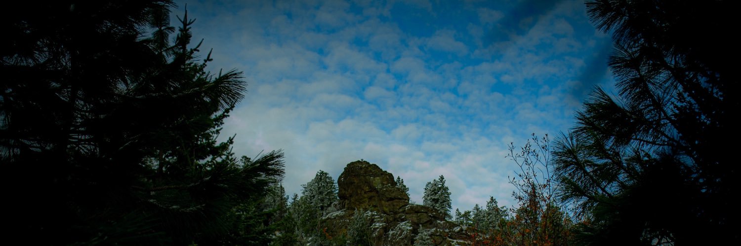 2realnoble's profile banner image