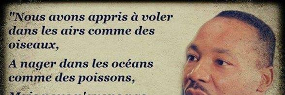 axel thimonier banner