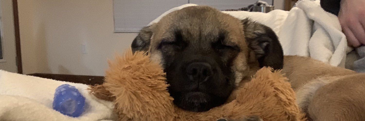 mad___dawg's profile banner image