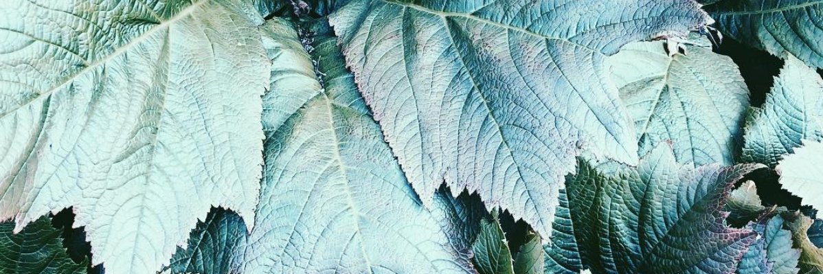 mindfullivingby's profile banner image