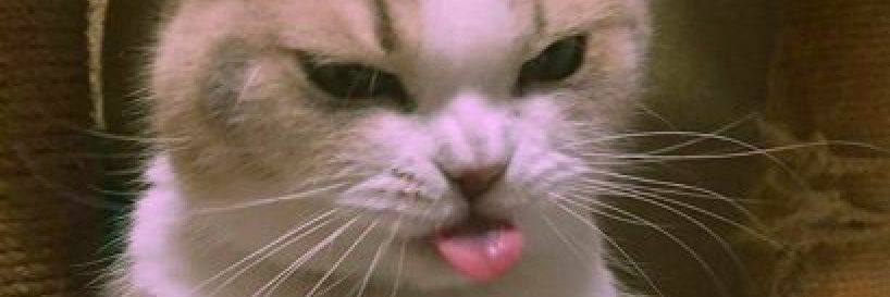 kevin12815's profile banner image