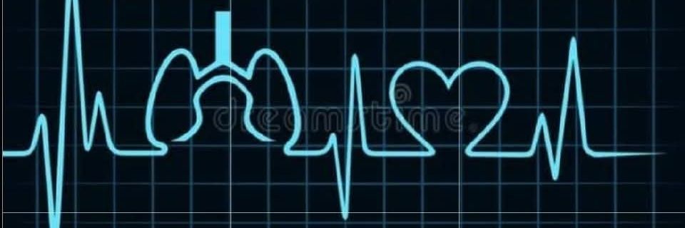 Smile4Riley 🍀 banner