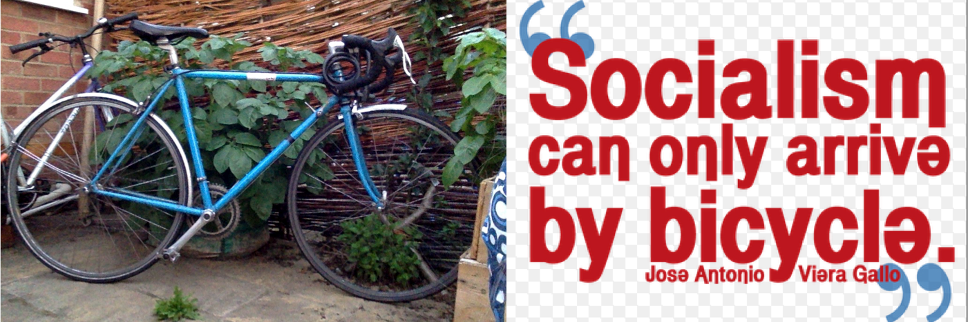 Rebecca Gibbs banner