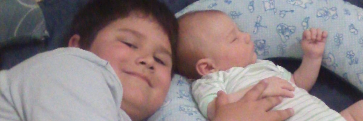 silvanarulli's profile banner image