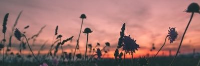 katyunderweed's profile banner image