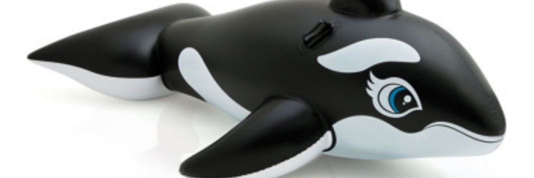 Chrisf18C's profile banner image
