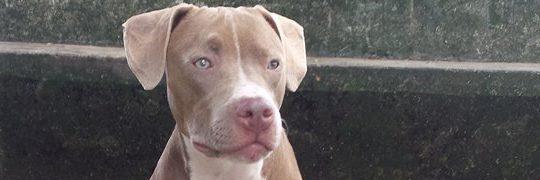 Fido2714's profile banner image
