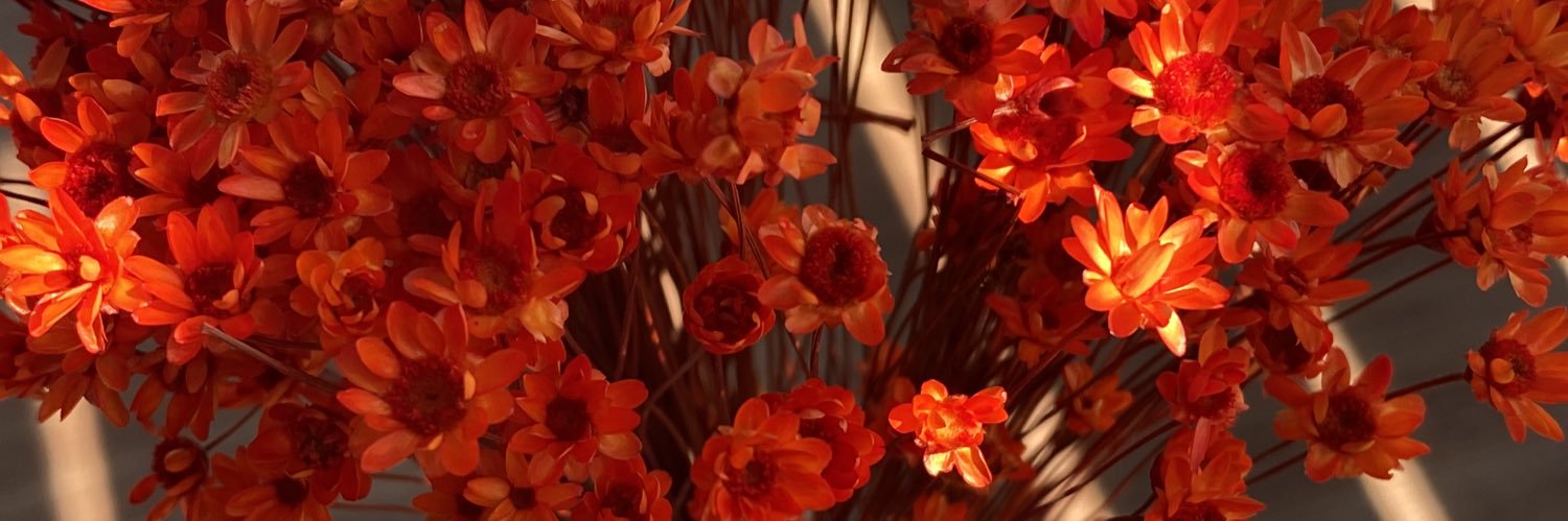 mandapedonn's profile banner image