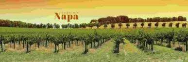 NAPA_FIA's profile banner image