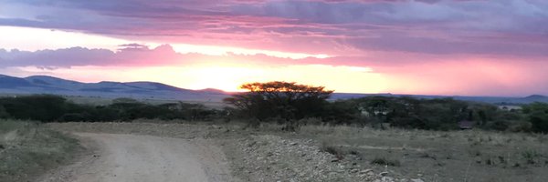 BruceTechRep Profile Banner