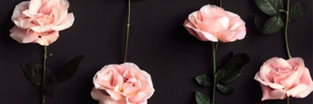 meegggaaann's profile banner image