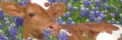 ju technology banner