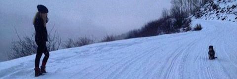 CrazyCoqui's profile banner image