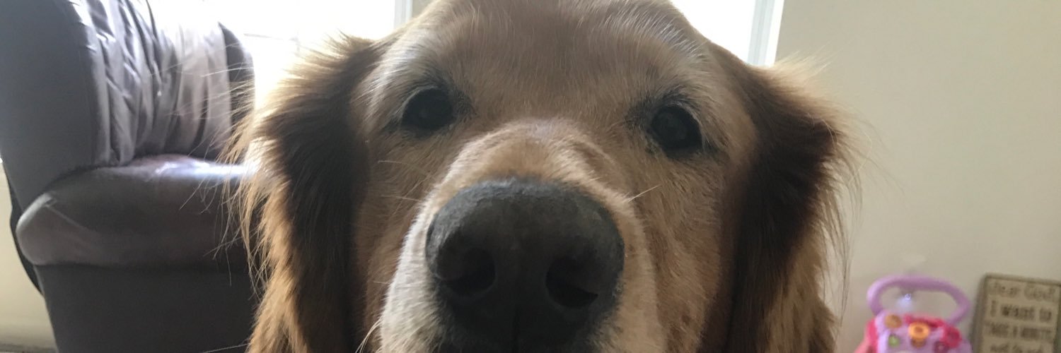 Bethany Wheatley banner