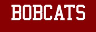 BobcatCheer2015's profile banner image