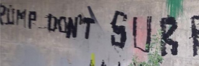 Seekerini banner