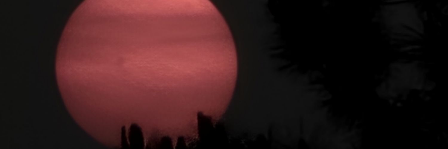 PresidentEkko's profile banner image