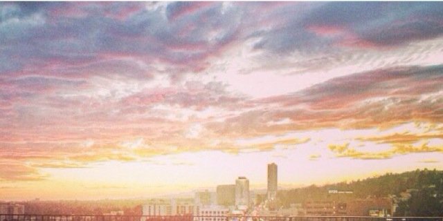 mardimichele's profile banner image