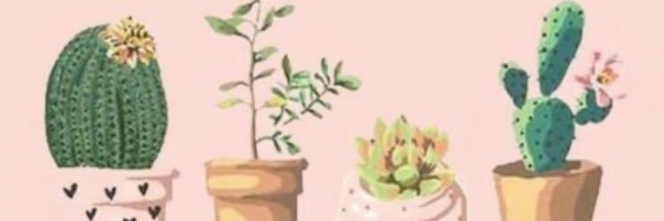 cannburc's profile banner image