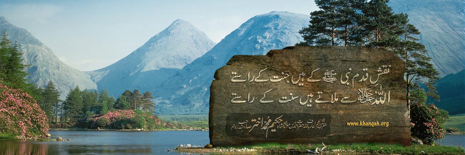 zillansari's profile banner image