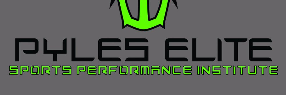 PylesElite's profile banner image