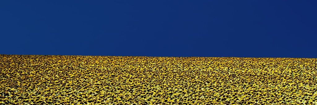 Tonic_Bo's profile banner image