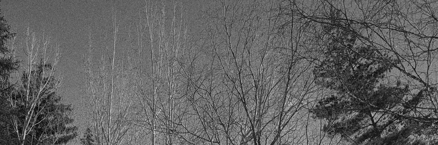 tabiiofc's profile banner image