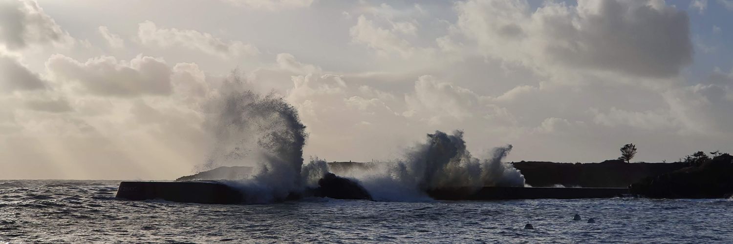 Xavier Gabilly banner