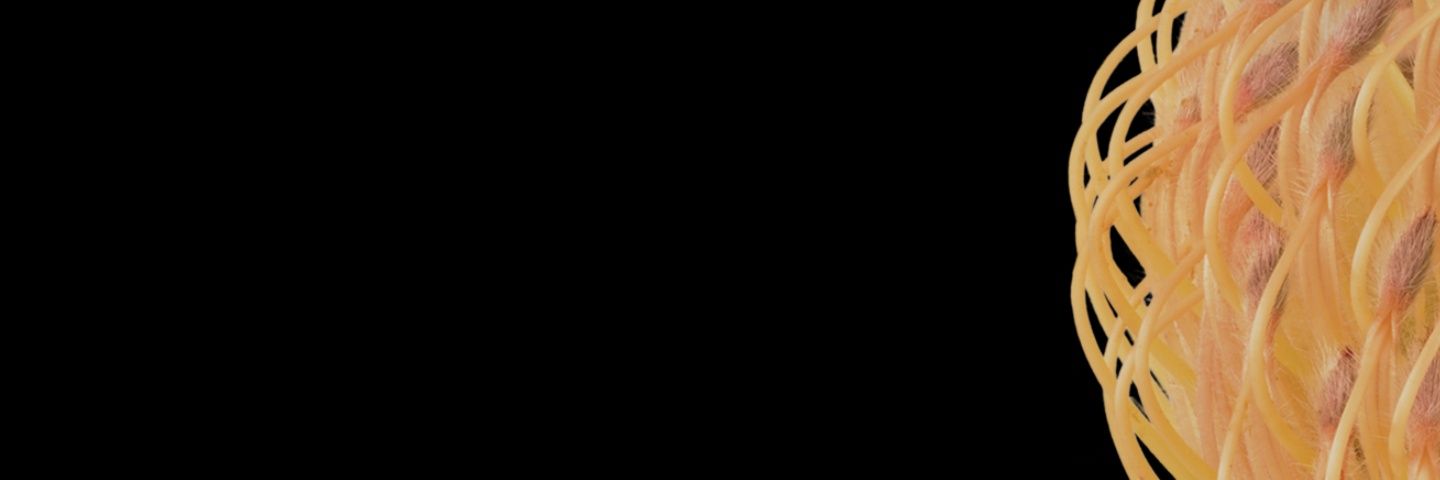 Jandra4's profile banner image