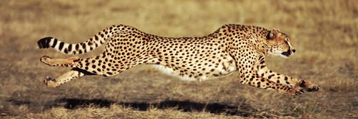 HaiderNaqve2's profile banner image