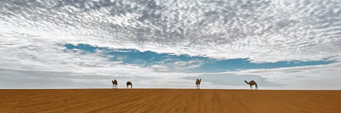 mohammedsr7's profile banner image