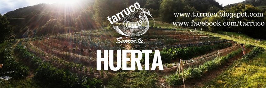 HuertaTarruco's profile banner image
