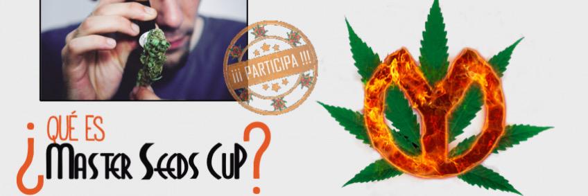MasterSeedsCup's profile banner image